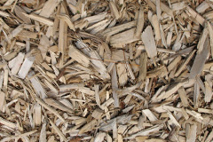 biomass boilers Earith